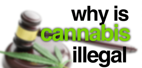 Why is Marijuana illegal in Australia - Article By BrotherKris